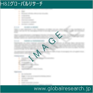 グローバルリサーチ調査レポートのイメージ